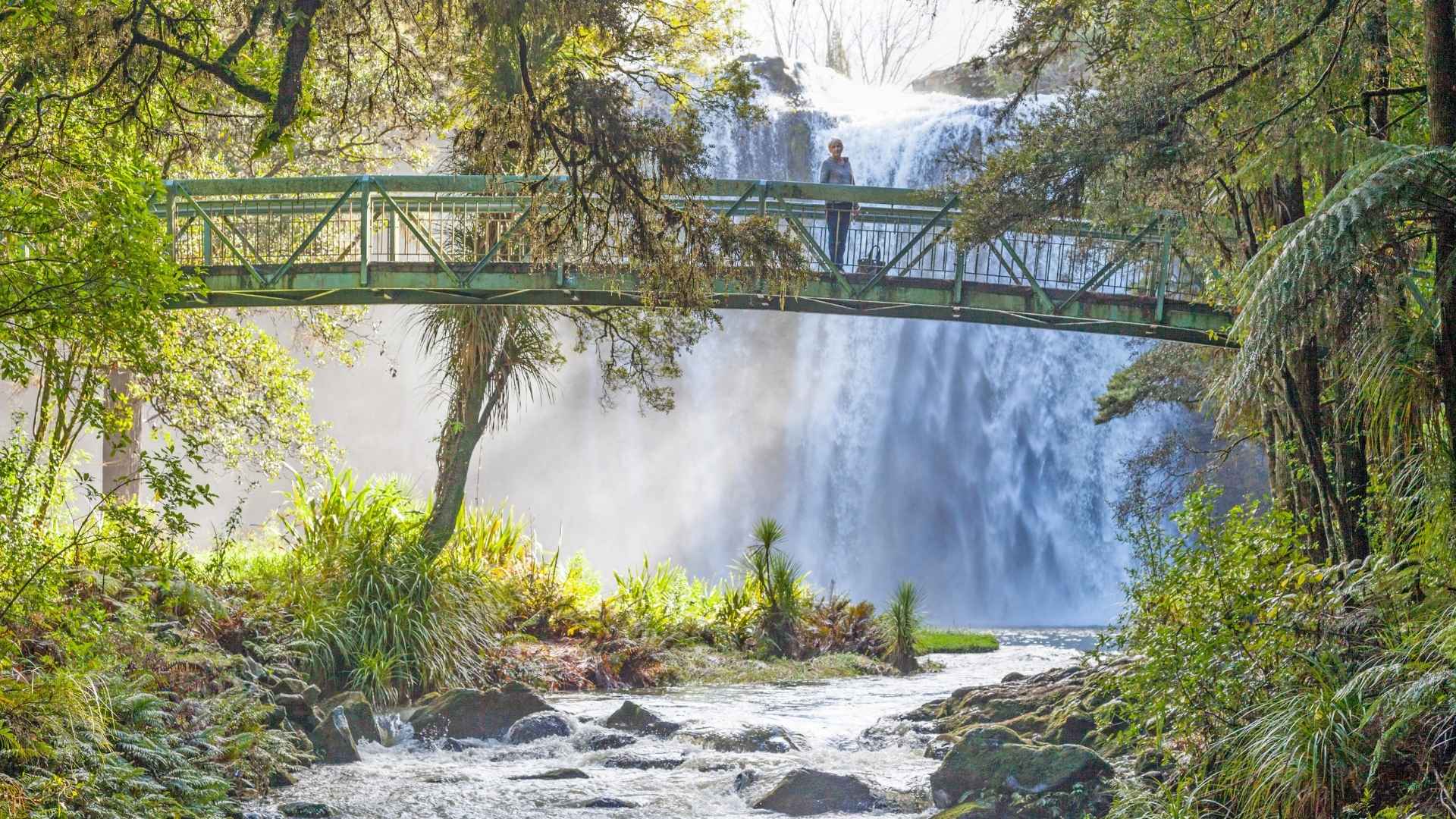 Whangeraifallsresized