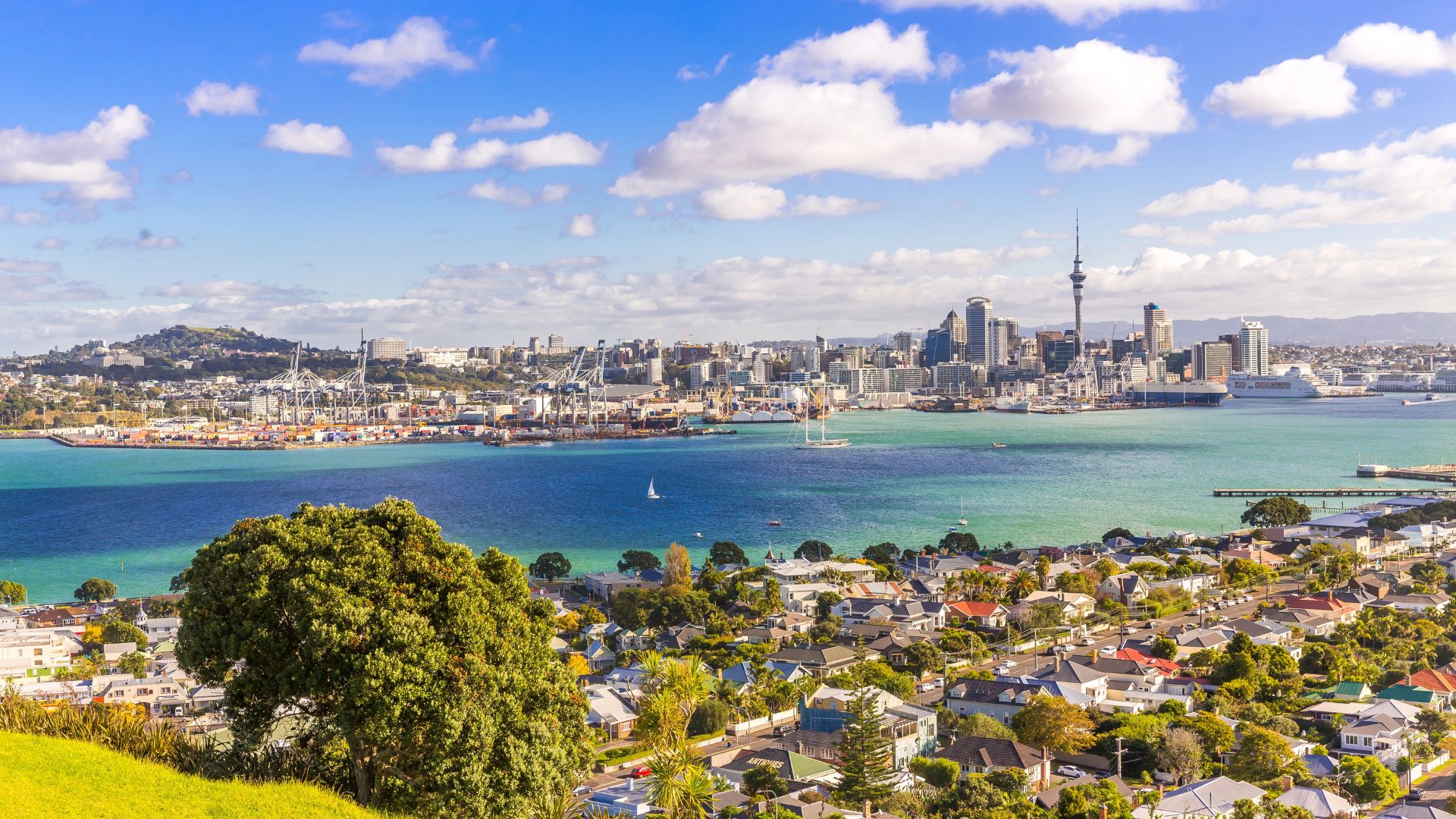 Auckland 4