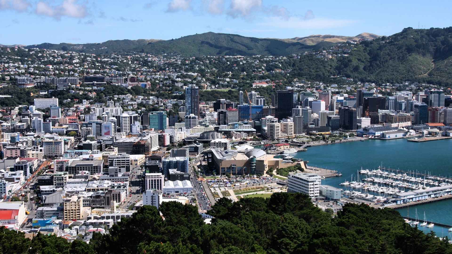 Wellington 1