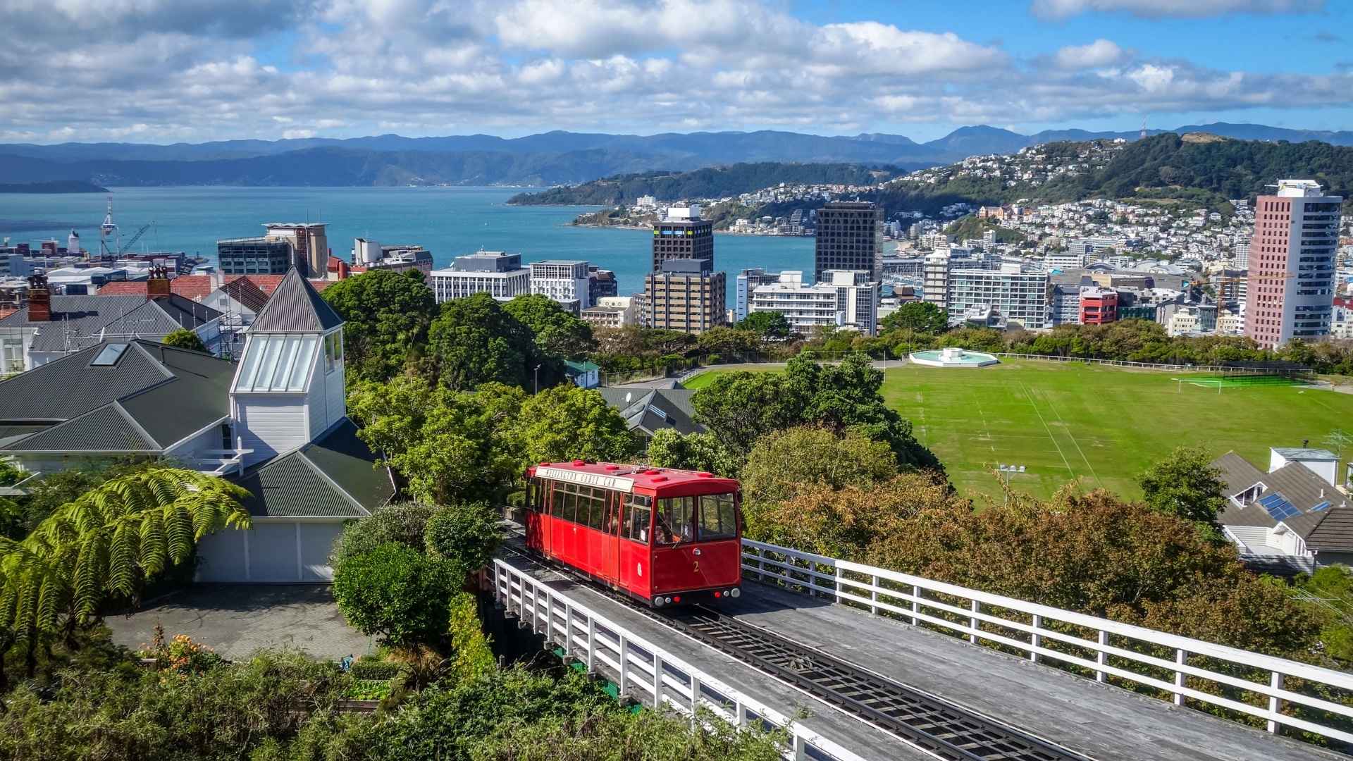 Wellington 5