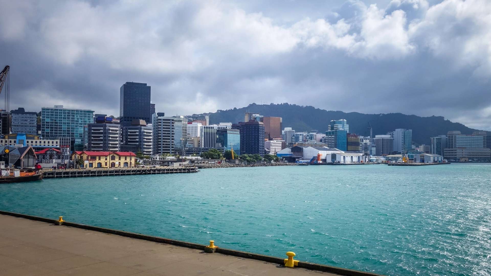 Wellington 3