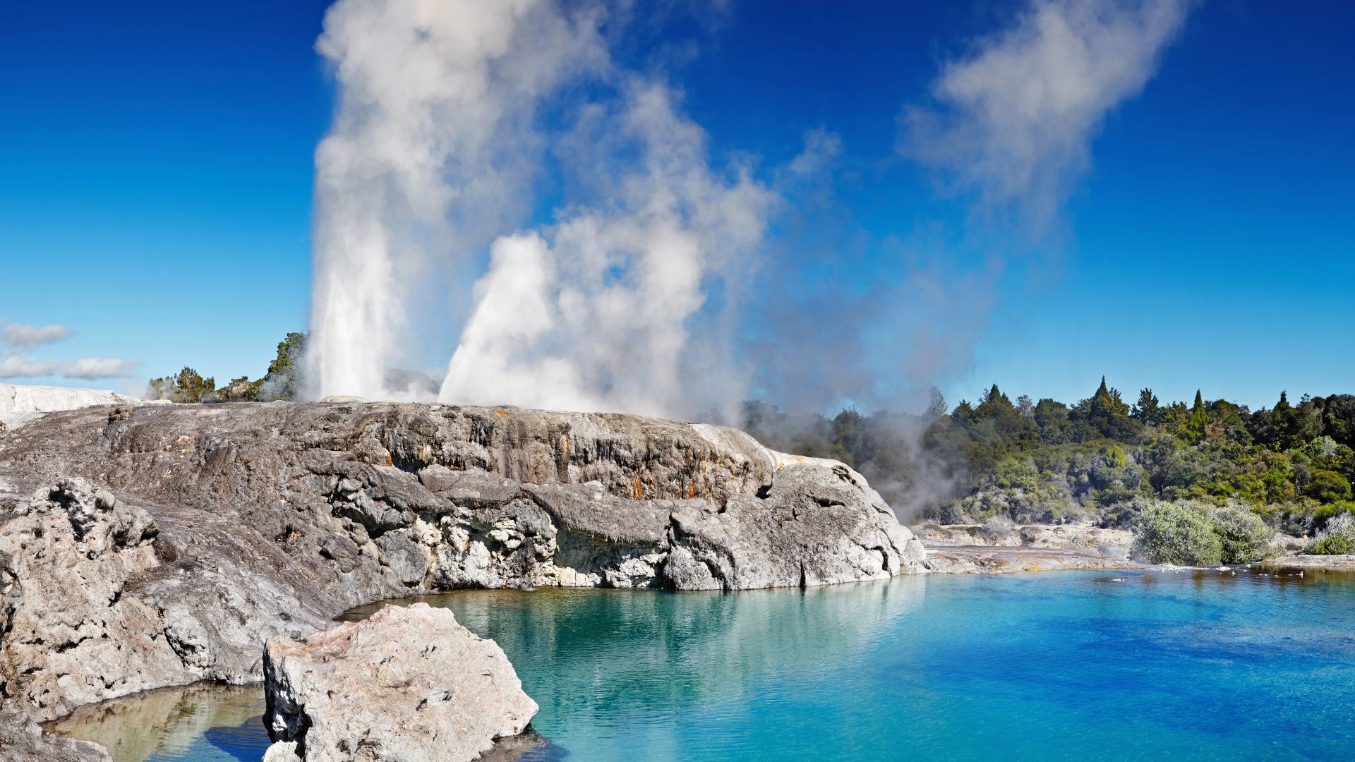 Rotorua 4