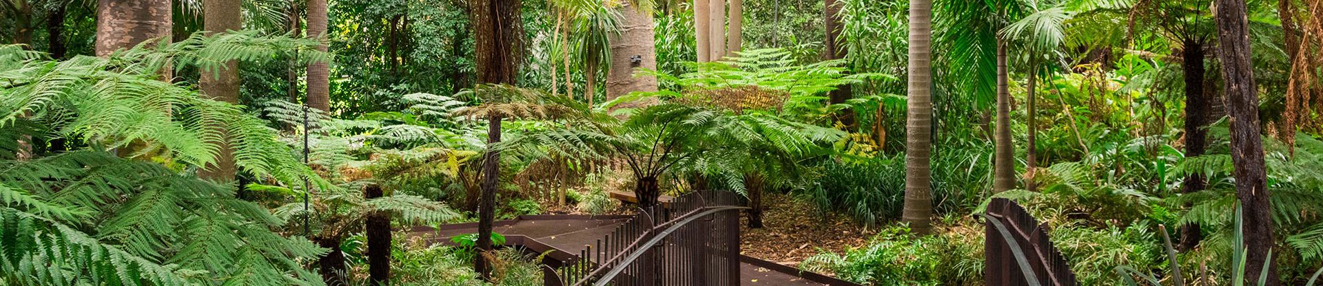Melbourne Botanical Gardens
